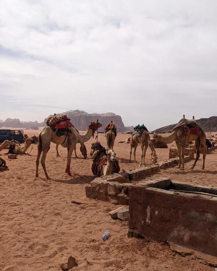 Wadi Rum Fun Time Tour'S Kültér fotó
