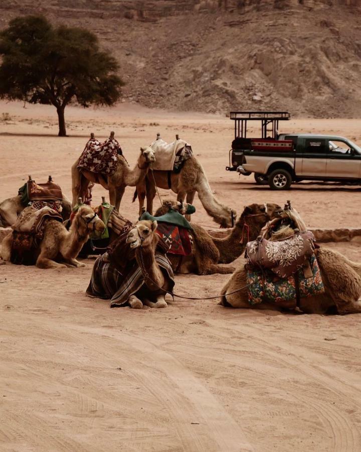 Wadi Rum Fun Time Tour'S Kültér fotó