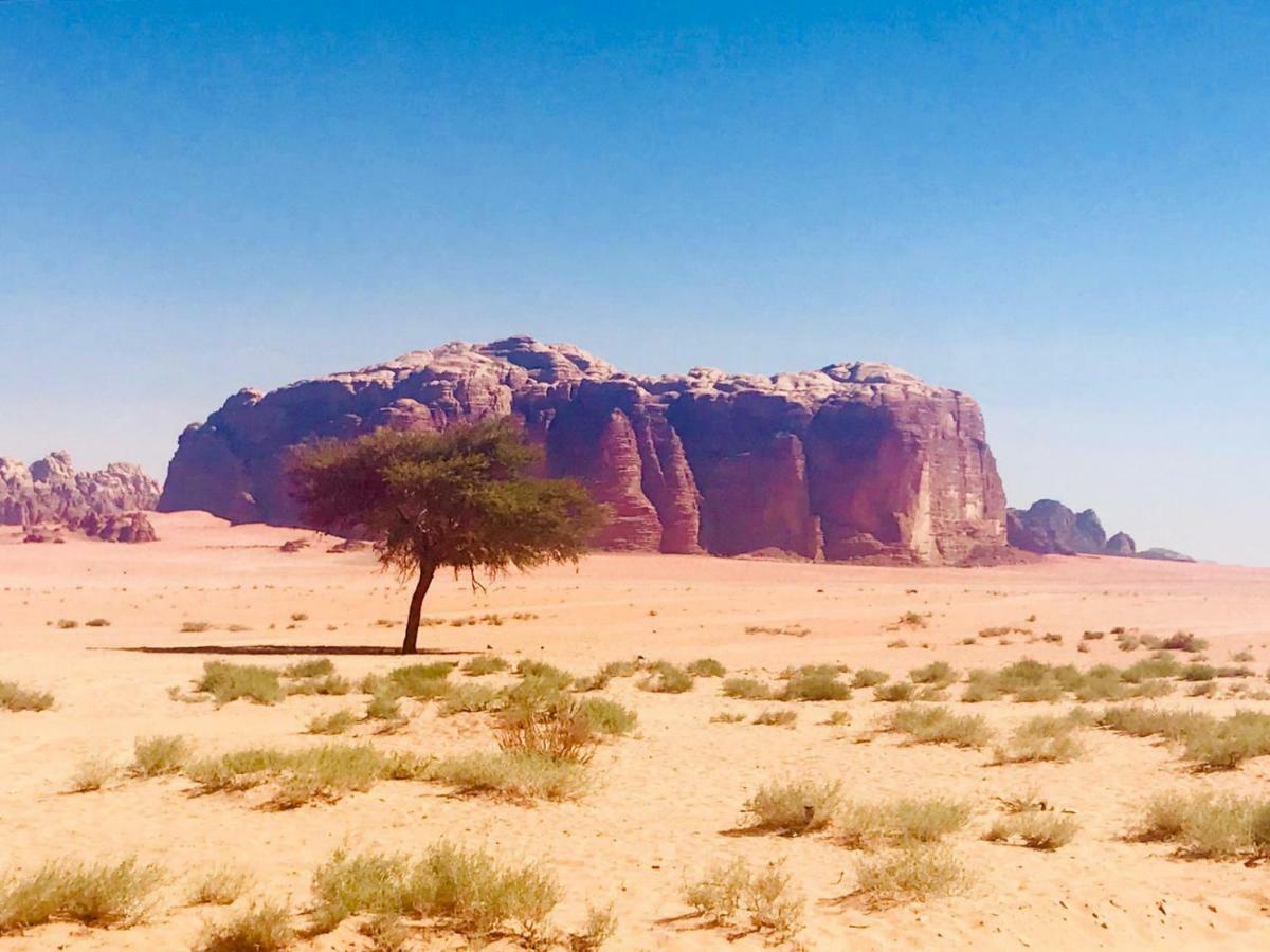 Wadi Rum Fun Time Tour'S Kültér fotó