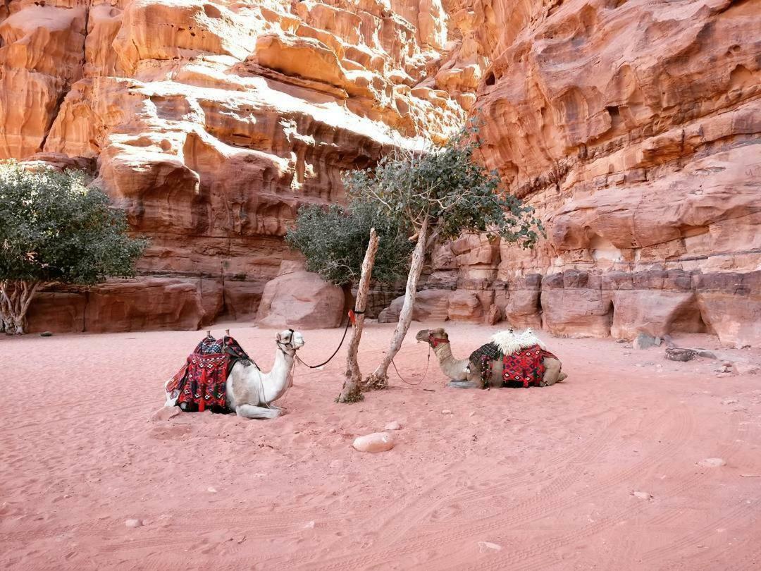 Wadi Rum Fun Time Tour'S Kültér fotó